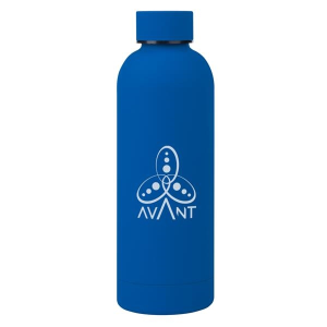 17 Oz. Blair Stainless Steel Bottle