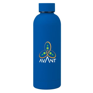 17 Oz. Blair Stainless Steel Bottle